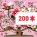 200 pcs Arbracadabra Puzzle by Djeco - 2